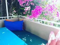 Aydın Pansiyon Hotels in Dalyan