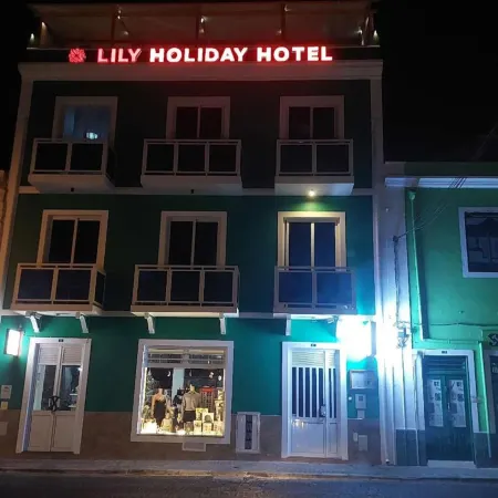 LILY HOLIDAY HOTEL