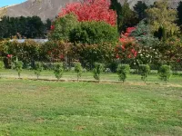 Suncrest Villas Hotels in Cromwell