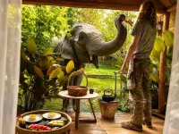 Wakey camp / wake with elephants - 3-Star