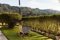 Apostles View Motel Hotel a Coal Creek