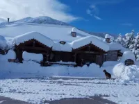 Guesthouse Kastania Korakis Hotels in Corinthia