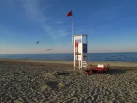 Hotel Excelsior Hotels in Cervia