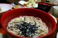 Shinzanso Hotel a Takayama