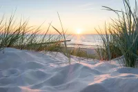 Pura Vida Hotel Cuxhaven