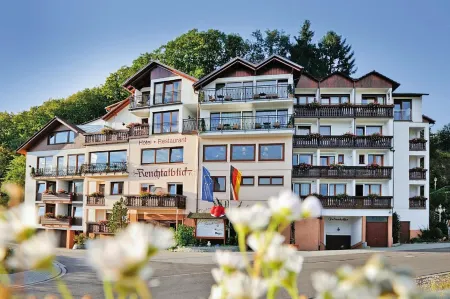 Deva Hotel Renchtalblick Отели в г. Каппельродек