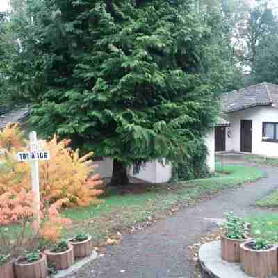 Hôtel Restaurant Le Manguier Hotel Exterior