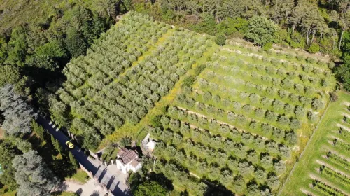 Albergo Villa Marta, the Originals Relais (Relais du Silence) Xung quanh Photos