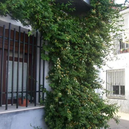 Casa Rural Abuela Maxi