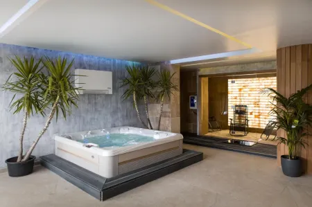 Hotel Subcarpati Отели в г. Baiculesti