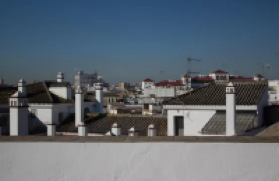 Black Swan Hostel Sevilla