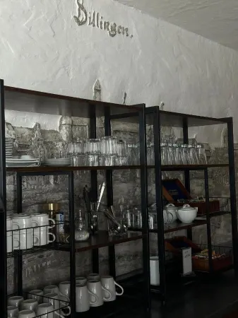 Dillinger Hof Отели в г. Диллинген-ан-дер-Донау