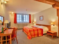 LH Hotel Dvořák Tábor Congress & Wellness Hotels in Tabor