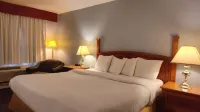Metro Inn - Motels