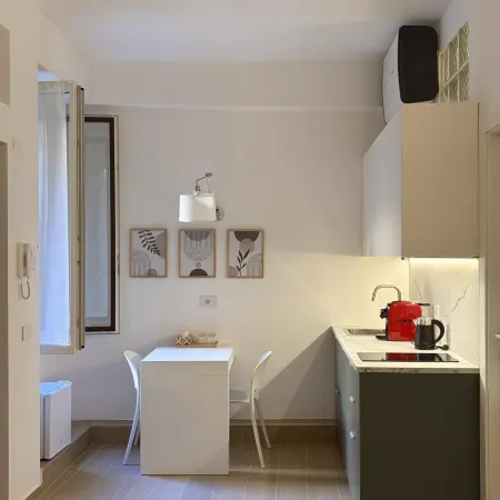 MonoSarpi50