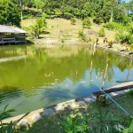 Bamboo Villa & Durian-Retreat FarmStay Hotels in 