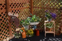 Alaska's Lake Lucille Bed & Breakfast Hotels in Wasilla