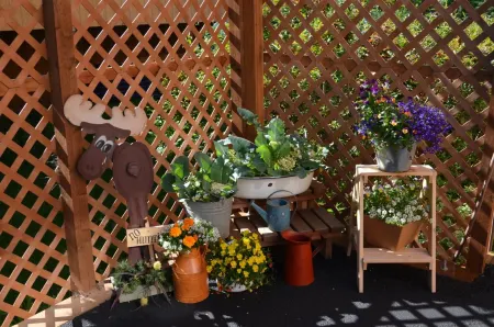 Alaska's Lake Lucille Bed & Breakfast Отели в г. Найк-Фэрвью