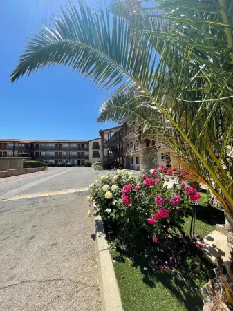 Palms Inn & Suites