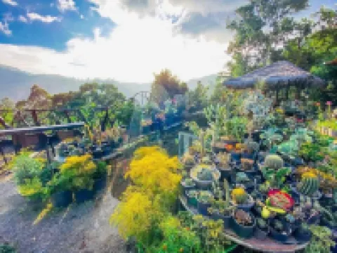 エラ フラワーガーデン リゾート エッラのホテル