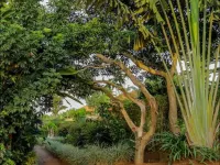 La Roza Resort Masaka Hotels in Masaka