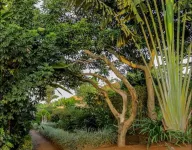 La Roza Resort Masaka