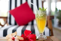 Musket Cove Island Resort - bar