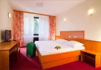 Terme Topolsica - Hotel Vesna Hotels in Topolsica