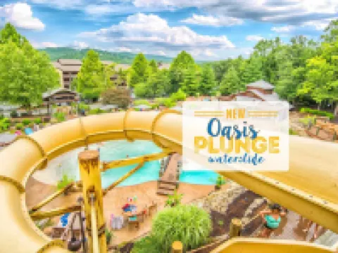 Still Waters Resort Hotels in Stone County