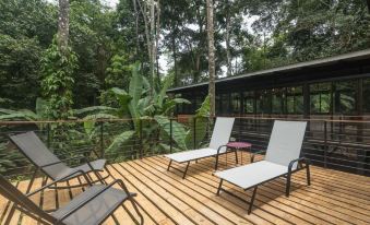 La Shamana - Ecological Concept in Jungle
