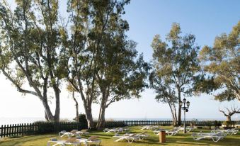 Hotel Roses Platja