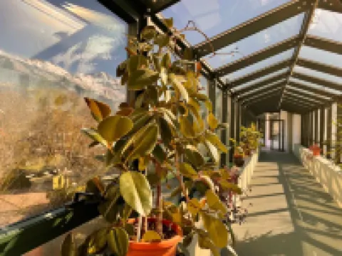 Hotel Santacroce Meeting