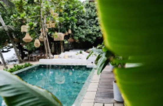 米瑞莎的香蕉宿舍