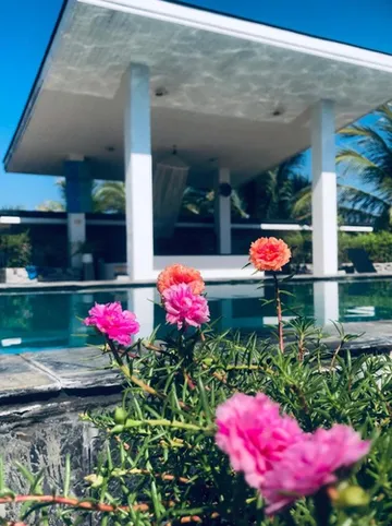 รูปภาพของจุดหมายปลายทางเลขที่ 39