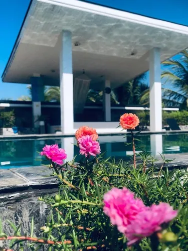 รูปภาพของจุดหมายปลายทางเลขที่ 39