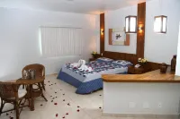 Monte Castro Executive Hotel Hotels in Araguari