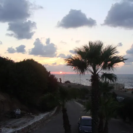 Tamer Guest House