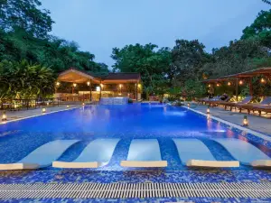 Top 3 Four-Star Hotels in Narayani