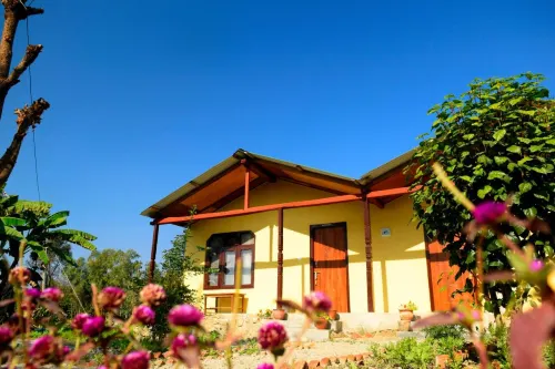 Nature Safari Resort فنادق في Bardia