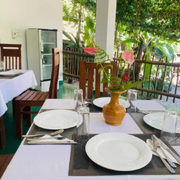 Misty Elegance - Ella.