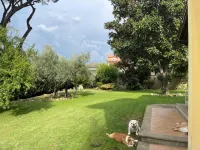 Paradise Home