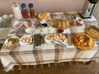 Guest House Shakuri