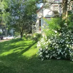 The Elmwood Heritage Inn