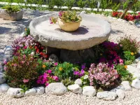 Apartment & Rooms Savonari Hotels in Orasac