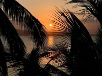 Emoha Dive Resort - Havudsigt