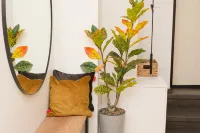 Munu Holiday Apartments - Apartments