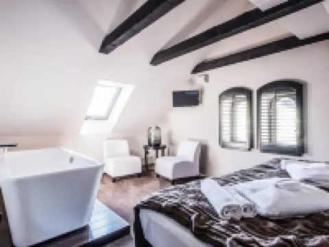 Hotel Pałac Jugowice Hotels in Walim