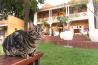 Ashanti Lodge Backpackers