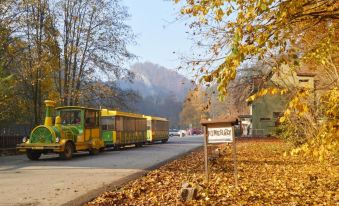 Hotel Skalni Mlyn