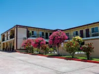 Motel 7 - Near Six Flags, Vallejo - Napa Valley Hotels in Vallejo